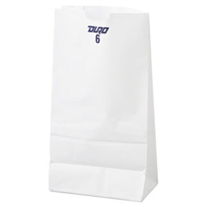 6LB WHITE PAPER PAPER BAGS