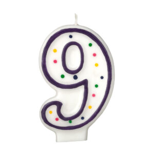 NUMBER BIRTHDAY CANDLE - NUMBER 9