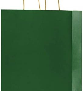 GREEN PAPER BAGS DOUBLE LAYERED MED 12CT