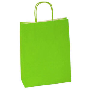LIME GREEN PAPER BAGS DOUBLE LAYERED MED 12CT