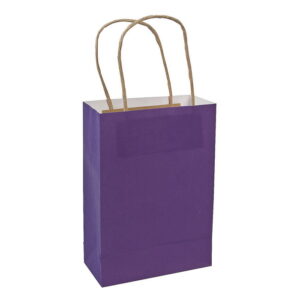 EGGPLANT PAPER BAGS DOUBLE LAYERED MED 12CT