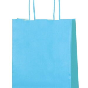 BLUE PAPER BAGS DOUBLE LAYERED LARGE 12CT