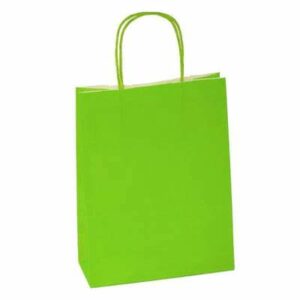 LIME GREEN PAPER BAGS DOUBLE LAYERED LARGE 12CT