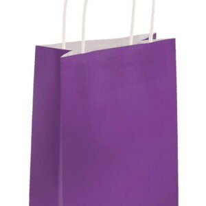EGGPLANT PAPER BAGS DOUBLE LAYERED LARGE 12CT