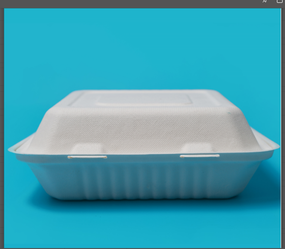 9" 1PT WHITE CLAMSHELL