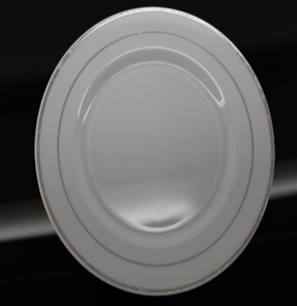 9" WHITE PLASTIC PLATE W/SILVER TRIM