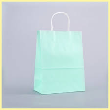#8 MINT GREEN PAPER BAG W/HANDLE 12CT SMALL (88-2313-1)