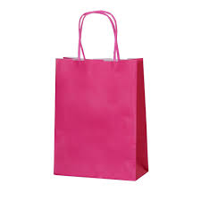 #19 FUCHSIA PAPER BAG W/HANDLE 12CT MED (88-2313-2)