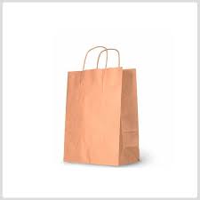 #20 PASTEL ORANGE PAPER BAG W/HANDLE 12CT LG (88-2313-3)