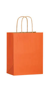 #16 BRIGHT ORANGE PAPER BAG W/HANDLE 12CT XSMALL (88-2313)