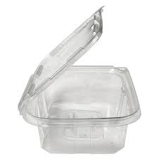 CLEAR HINGED CONTAINER ILOCK (PRD20)