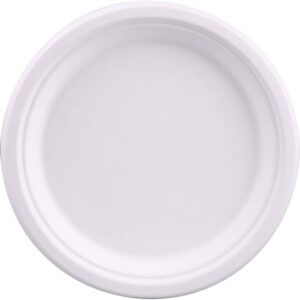 10" WHITE ROUND PAPER PLATES