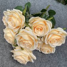 ROSE HEAD 1 CREAM 10PCS