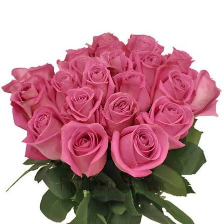 ROSE HEAD 13 MEDIUM PINK 10PCS