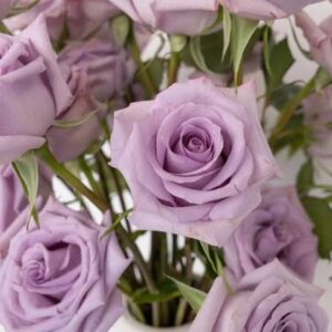 ROSE HEAD 8 LAVENDER 10PCS